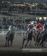 Hipódromo de las Américas (México)