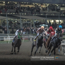 Hipódromo de las Américas (México)