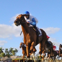 l Hipódromo Nacional de Maroñas