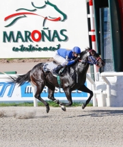 l Hipódromo Nacional de Maroñas