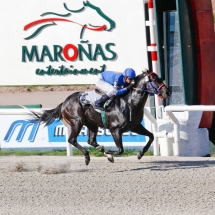 l Hipódromo Nacional de Maroñas